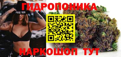 амф Конаково