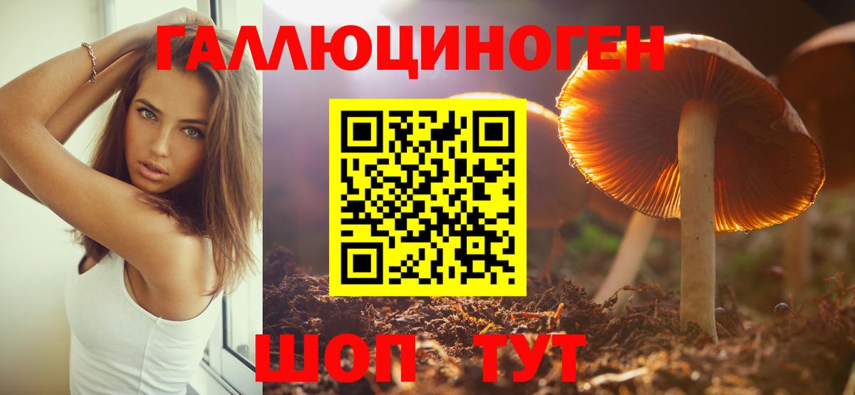 Галлюциногенные грибы Cubensis  Псилоцибиновые грибы мицелий  Вход с VPN  Дмитров 