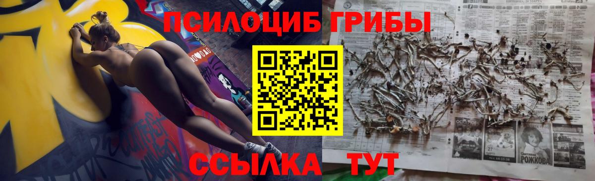 Галлюциногенные грибы MAGIC MUSHROOMS Дмитров